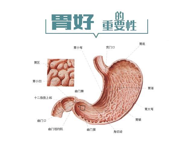 怎么预防胃溃疡的发生